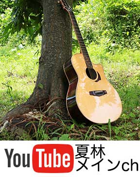 YouTubeなつばやしメインチャンネル