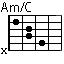 Am/C